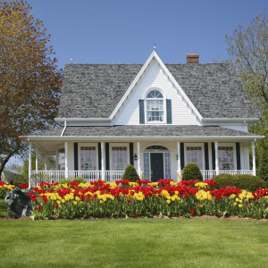 A traditional house with large flower beds full of tulips.